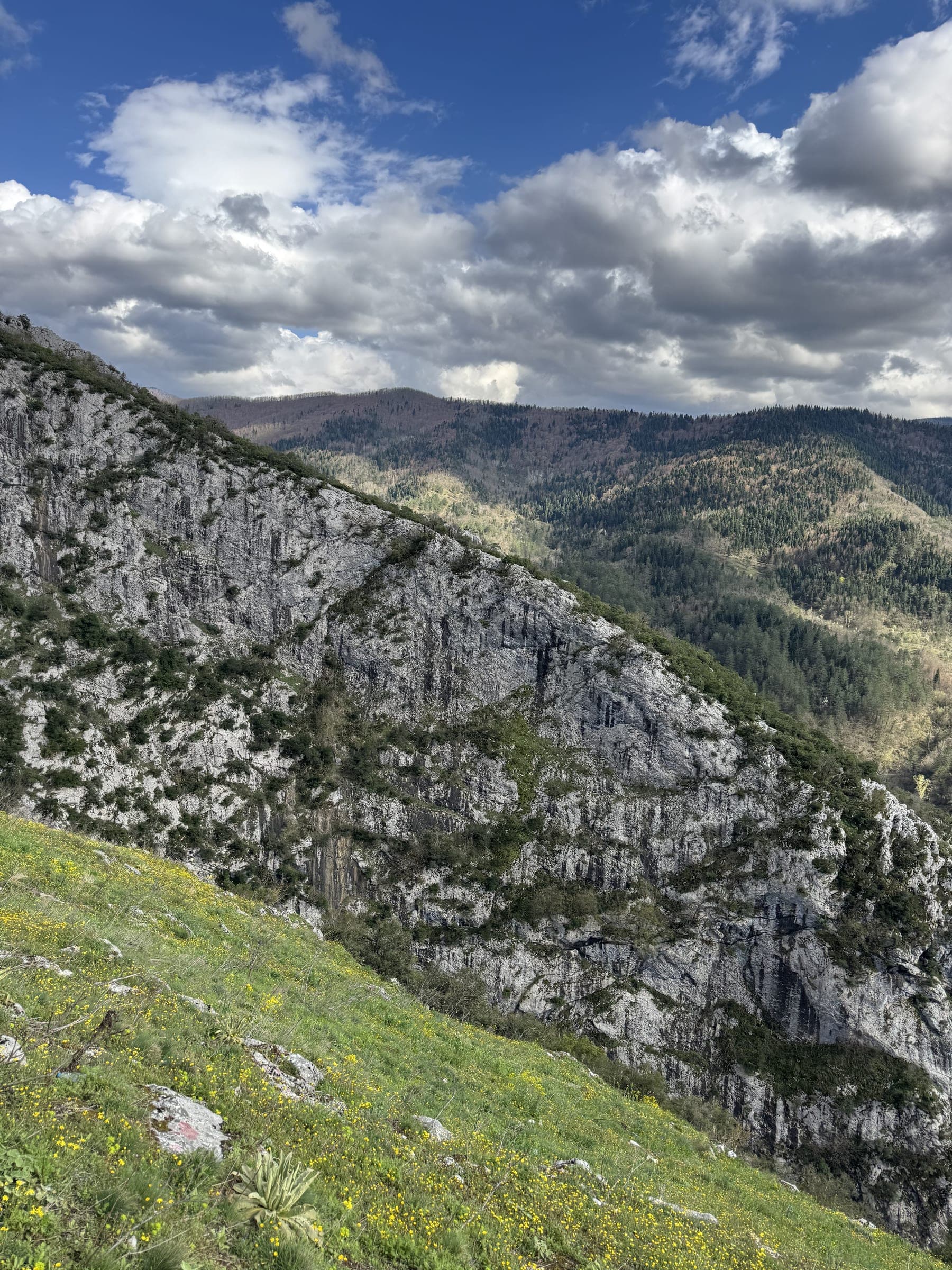 Kayalık yamaçtan vadiye bakış