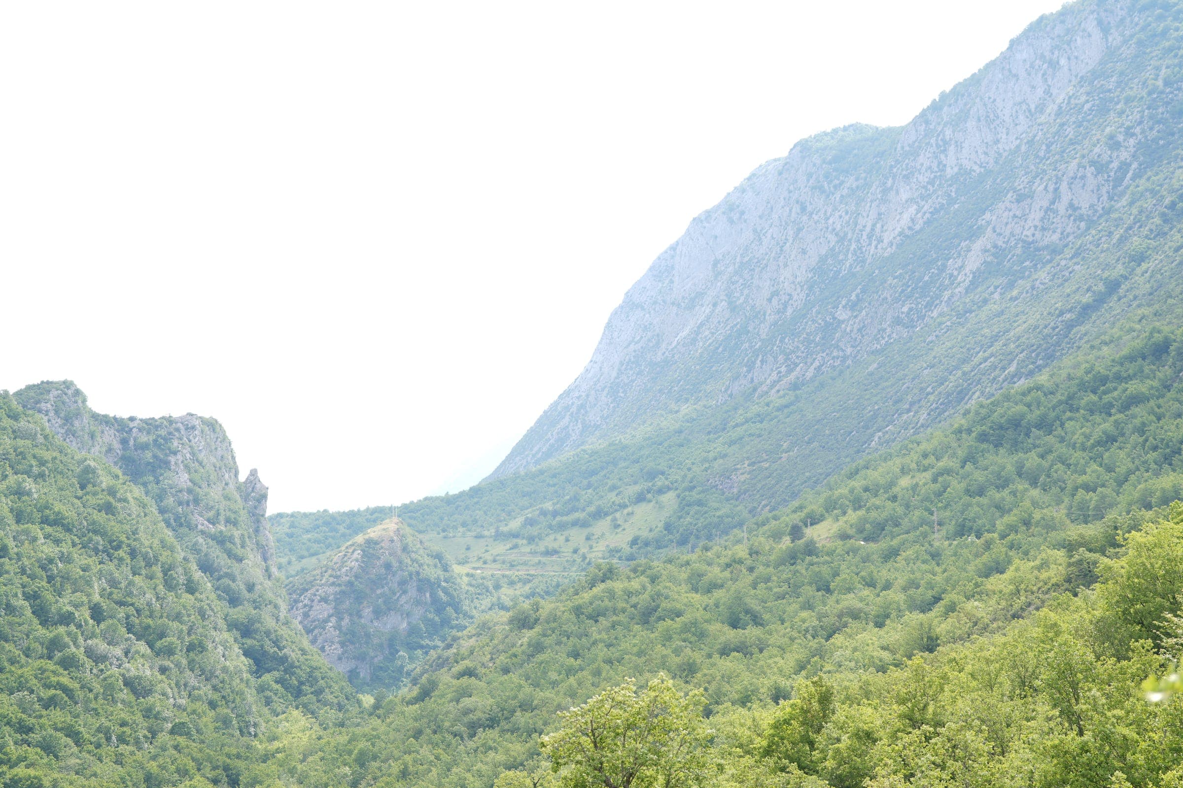 Sarp kayalıklarla çevrili yeşil kanyon