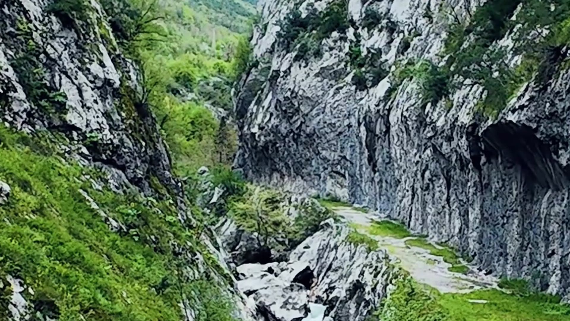 Parkurlar