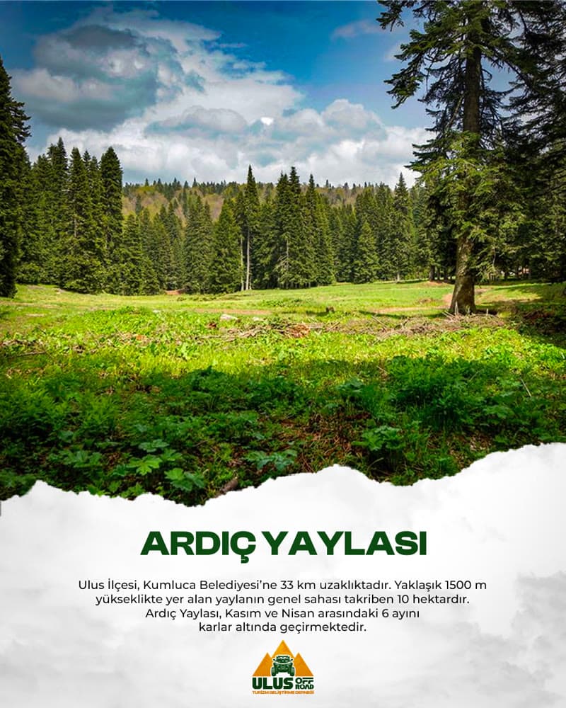 Ardıç Yaylası